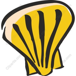 Yellow Scallop Shell