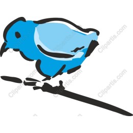 Blue Bird
