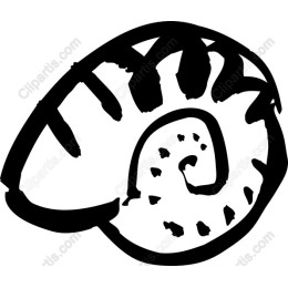 Artistic Snail Shell