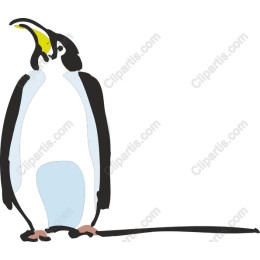 Adorable Penguin