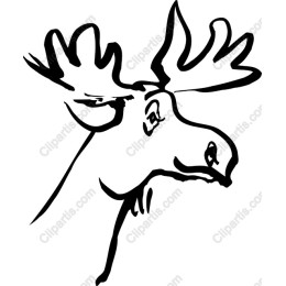 Majestic Moose