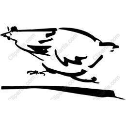 Stylized Bird
