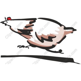 Charming Bird