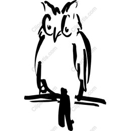 Elegant Owl