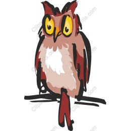 Playful Owl