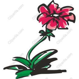 Vibrant Flower