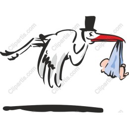 Whimsical Stork Baby Delivery