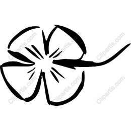 Elegant Hand-Drawn Flower