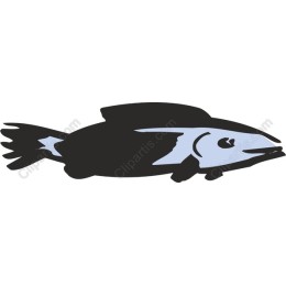 Aquatic Elegance: Fish