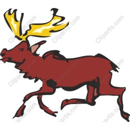 Vibrant Mooses Available