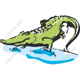 Crocodilework