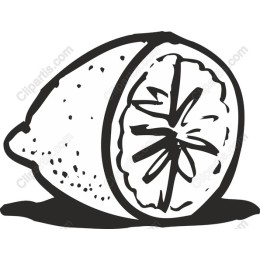 Hand-Drawn Lemon