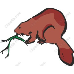 Charming Beaver