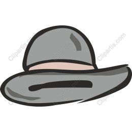 Gray Wide-Brim Hat