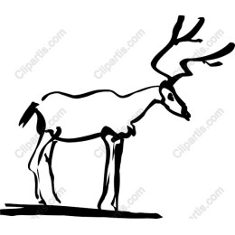 Majestic Reindeer
