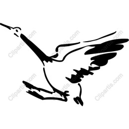 Stork - Elegant for Creative Use