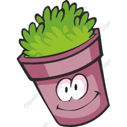 Cheerful Potted Plant