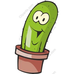 Cheerful Cactus