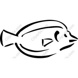 Minimalist Fish