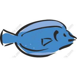 Charming Blue Fish