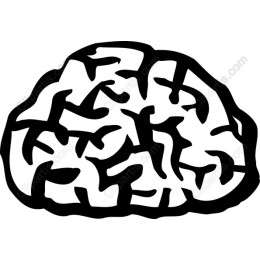 Cerebral Creativity: Brain