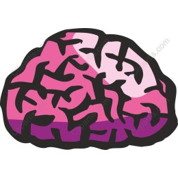 Colorful Brain