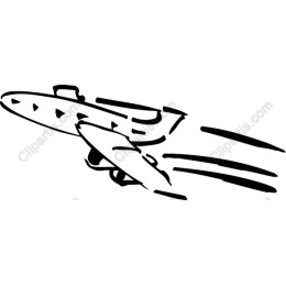 Airplane in Flight