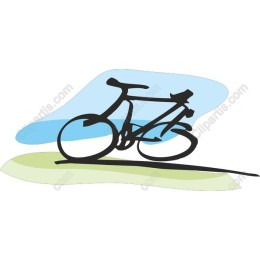 Dynamic Bicycle