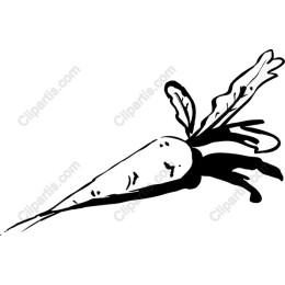 Hand-Drawn Carrot