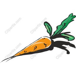Vibrant Carrot