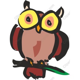Charming Owl