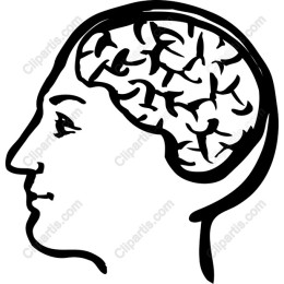 Brain