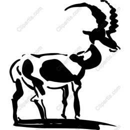 Elegant Antelope