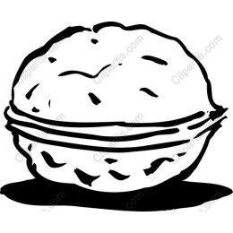 Hand-Drawn Shell