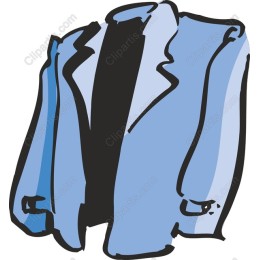 Stylish Blue Blazer