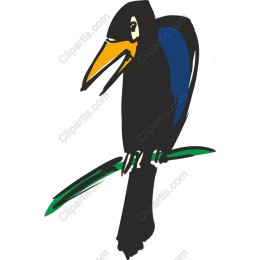 Vibrant Bird