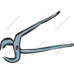 Dental Forceps