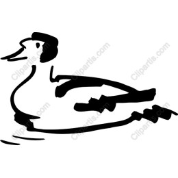 Whimsical Duck