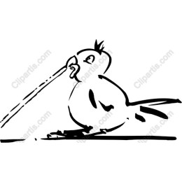 Playful Bird Drawing