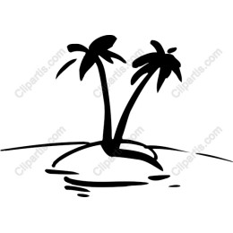 Tropical Palm Tree