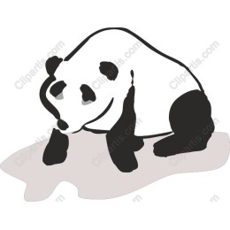 Playful Panda