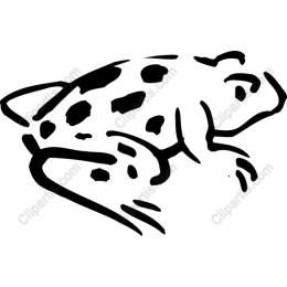 Charming Frog