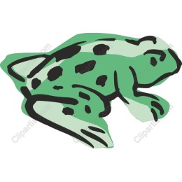 Vibrant Green Frog