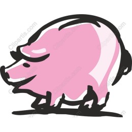 Playful Pig