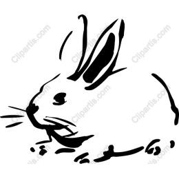 Charming Rabbit