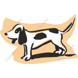 Beagle Playful