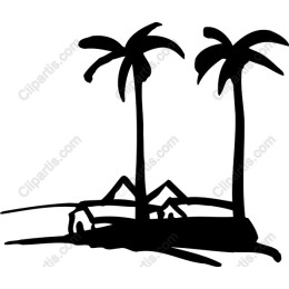Tropical Palm Trees