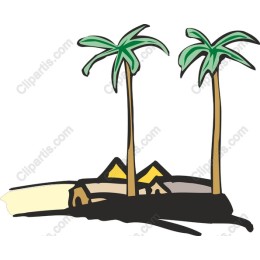 Tropical Palm Tree