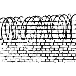 Barbed Wire Fence