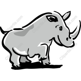 Playful Rhinoceros